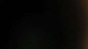 El presidente Trump es el mandatario más polarizante en la historia moderna de Estados Unidos .