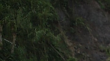 Los pobladores de la isla sigue padeciendo el devastador paso del huracán María.