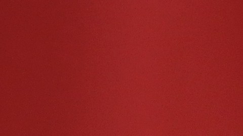 El comportamiento del presidente Trump preocupa a sus colaboradores.