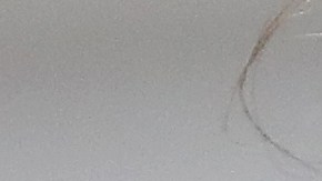 El presidente Trump es cuestionado por su comportamiento "volatil".