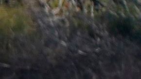 La policía investiga los restos del coche bomba con el que se cree asesinaron a la periodista  Daphne Caruana Galizia      (STR/AFP/Getty Images)