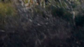 La policía investiga los restos del coche bomba con el que se cree asesinaron a la periodista  Daphne Caruana Galizia      (STR/AFP/Getty Images)