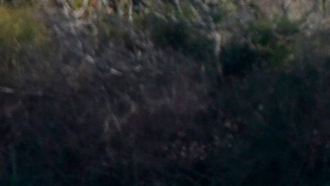 La policía investiga los restos del coche bomba con el que se cree asesinaron a la periodista Daphne Caruana Galizia (STR/AFP/Getty Images)