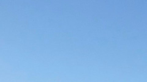 La aerolínea dice que buscará evitar actos discriminatorios.