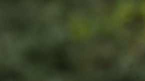 El vicepresidente Pence defiende sus posturas conservadoras