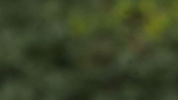 El vicepresidente Pence defiende sus posturas conservadoras