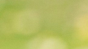 El presidente Trump ha presumido su "poder" de perdonar a quien sea.