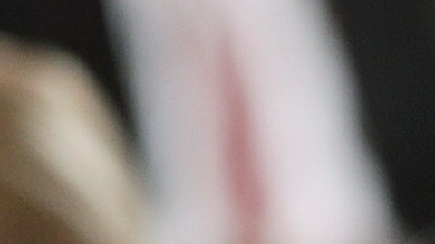 La primera hija Ivanka Trump siempre llama la atención por sus atuendos.