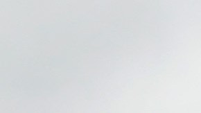 Los supremacistas y su movimiento "las vidas  blancas importan".