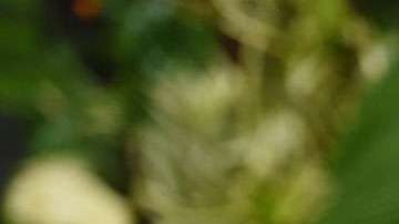 Gwyneth Paltrow no vive con su esposo.