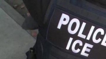 El operativo concluyó el viernes pasado.