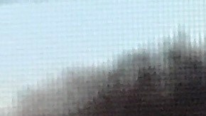 Las sospechosas robaron la cartera de la víctima y la golpearon antes de huir de la escena.