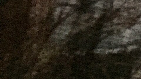 La intersección de las avenidas Mapleton y Patterson, octubre de 2012.