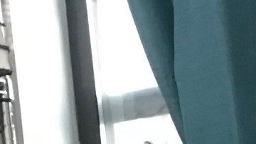 El mexicano Fabian Bravo y su familia viven en un departamento en Brooklyn infestado por ratones.