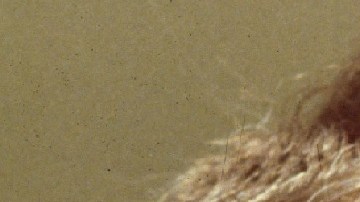 El presidente Trump cedió a no publicar por ahora decenas de archivos.