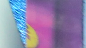 La Vaquera Desnuda Patricia Burck con su famosos esposo, Robert Burck en Times Square.