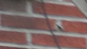 Salvador Sarmiento. Abolicion de la ley Cabaret, que permite bailar en los sitios sin licencia.