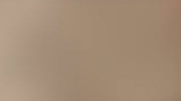 Nacho Vidal compartió sus declaraciones en un video.