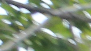 Guatemalteco Noel Lopez Reyes se despide de su esposa, Doris y sus hijos, Shaun y Viana en Federal Plaza.