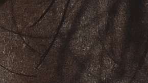 Y a ti, ¿te gustan los hombres con barba?