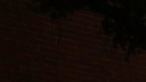 NYPD investiga el incidente junto al Departamento de Educación