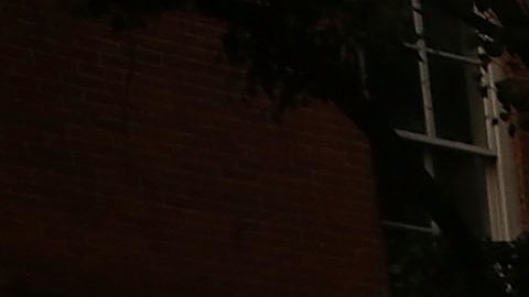 NYPD investiga el incidente junto al Departamento de Educación