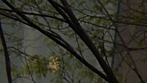 La policía arrestó al sospechoso.