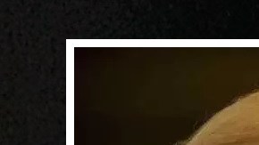 A Rush Limbaugh le preocupa que Trump quiera "dictar" el comportamiento de las personas.