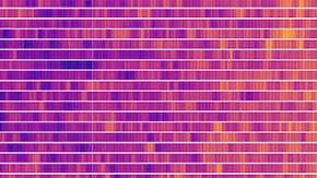 Base de datos en colores