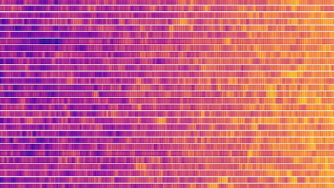 Base de datos en colores