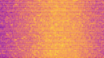 Base de datos en colores
