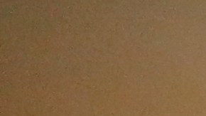 Agustina Barrera. Inquilinos denuncian terrribles condiciones de vivienda en la Calle Oeste 161 en Manhattan.