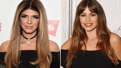 Teresa Giudice atacó a Sofía Vergara.