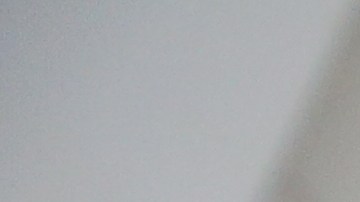 Sofia relata lo dificil que fue obtener una visa T.