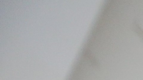 Sofia relata lo dificil que fue obtener una visa T.