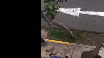 Vecinos grabaron la escena.