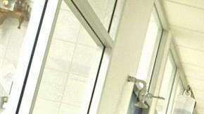 Las células de grasa pueden bloquear el efecto de la quimioterapia en casos de cáncer.