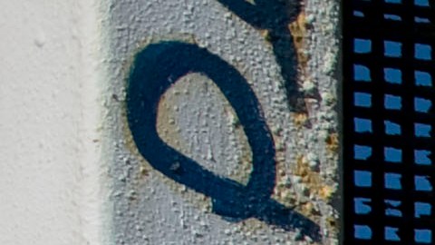 La pareja está formada por un estadounidense y una mexicana.