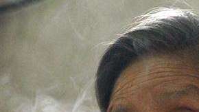 Investigaciones anteriores identificaban otros factores, como la exposición a alergenos o infecciones virales, como otros determinantes de los síntomas de asma.