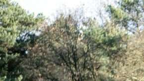 Hirving Lozano y los jugadores del PSV realizaron una práctica militar