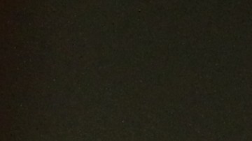 Concejal Ydanis Rodriguez, Presidenta del Concejo Melissa Mark-Viverito y Congresista Adriano Espaillat  dan su apoyo a la guatemalteca Amanda Morales a los 3 meses de refugiarse en la iglesia Holyrood.