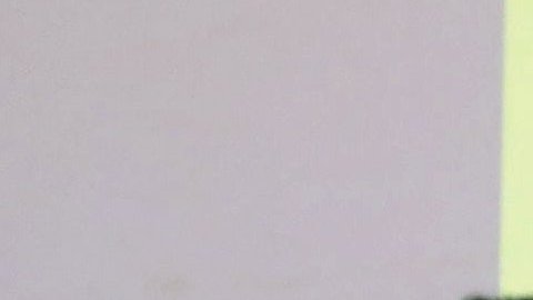 Trump y Putin se saludan en la Cumbre del la APEC en Da Nang (Vietnam). Michael Klimentyev/SPUTNIK/EFE.