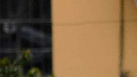 A un año de la tragedia, ronden homenaje a las víctimas del Chapecoense