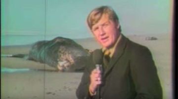 Paul Linnman y un camarógrafo cubrieron la noticia para una televisora local en 1970. Décadas después, se volvió viral.