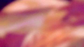 Alejandro Sanz, homenajeado en los Latin Grammy.