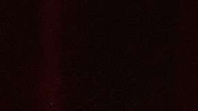 Elsa Pataky ha matizado las declaraciones de Chris Hemsworth.