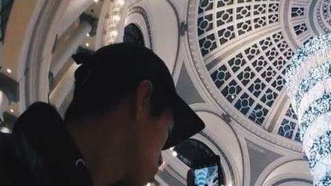 A varios les llaman la atención estos árboles invertidos.