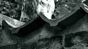 Las imágenes de sostenes son detectadas fácilmente.