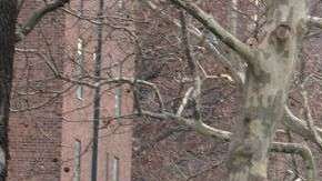 Acusan al alcalde de ser insensible ante los trabajadores caídos en sus puestos de trabajo