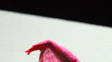 La cantante ahora sabe seguir el ritmo de la música.